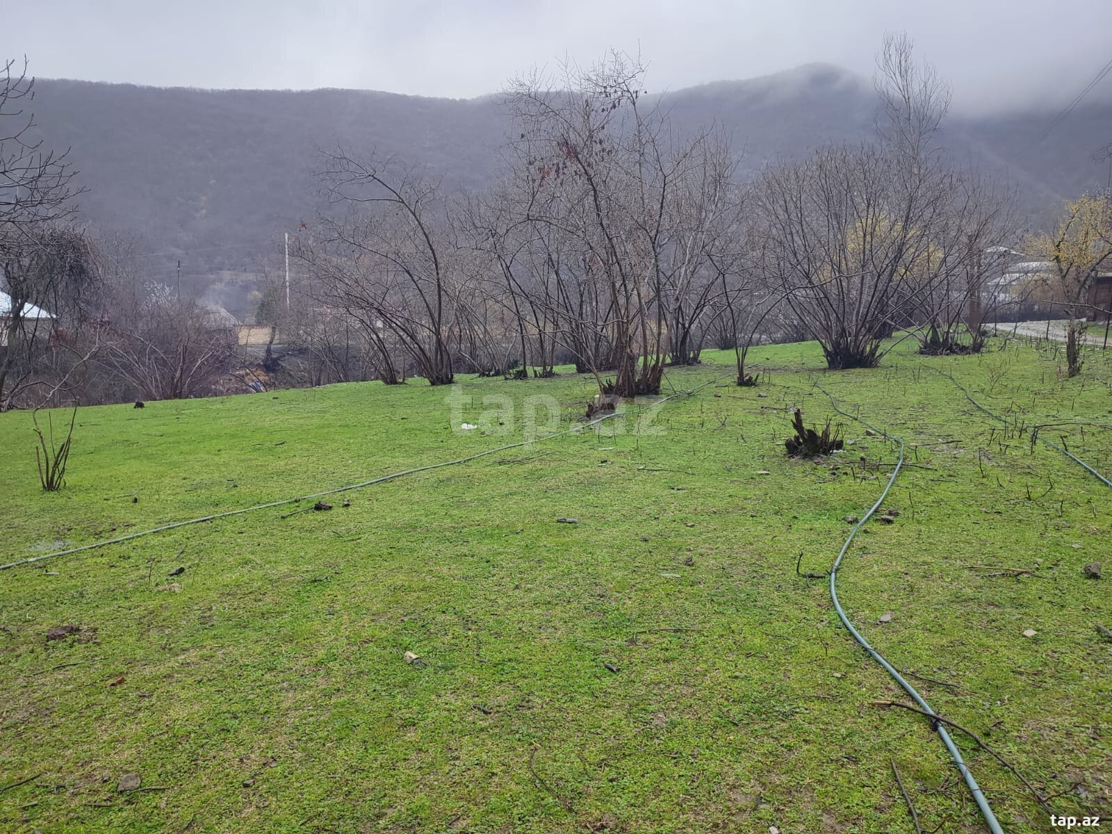 Həyət evi, Şəki ş.