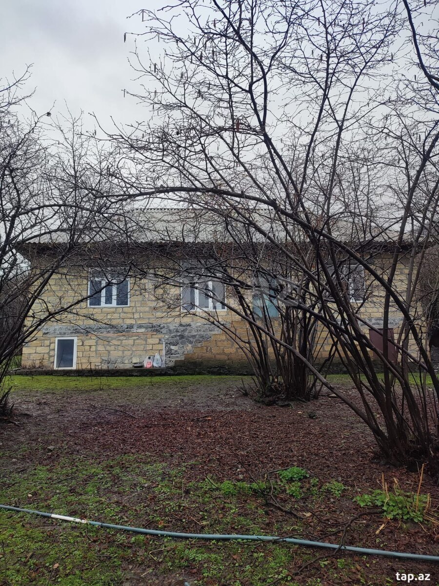 Həyət evi, Şəki ş.