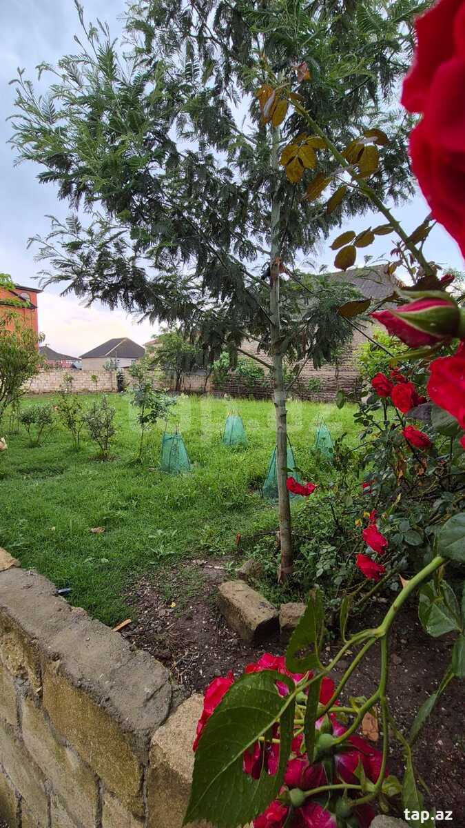 Həyət evi, Boladı k.