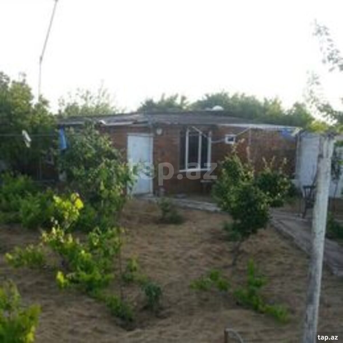 Həyət evi kirayə verilir, Pirşağı qəs.