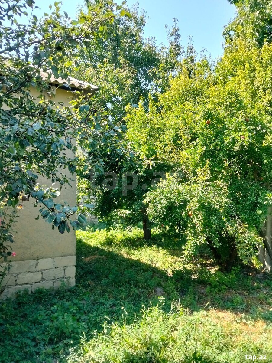 Bağ evi, Xaçmaz r.
