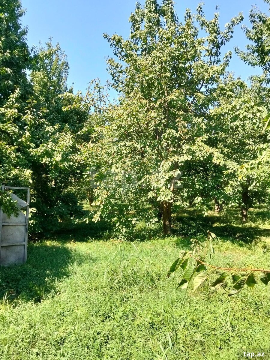 Bağ evi, Xaçmaz r.