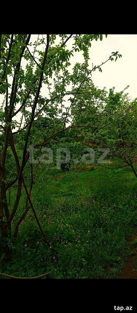 Həyət evi, İsmayıllı r.