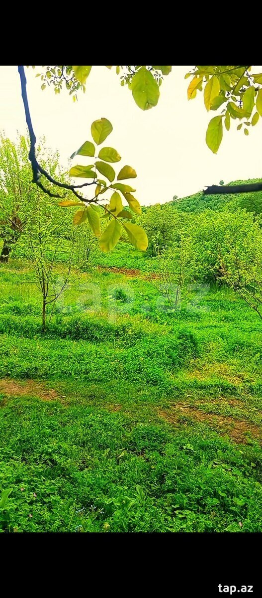 Həyət evi, İsmayıllı r.