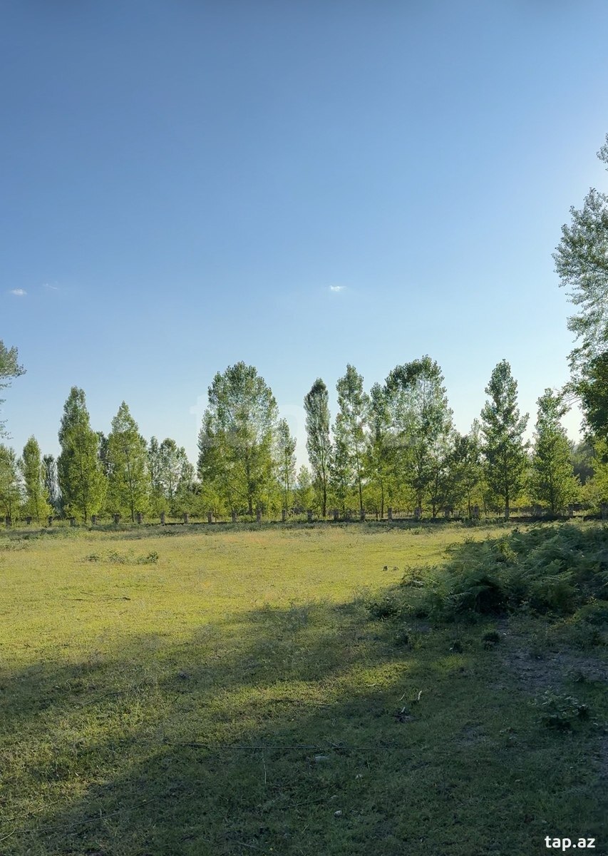 Земельный участок на продажу, Габала, Габала
