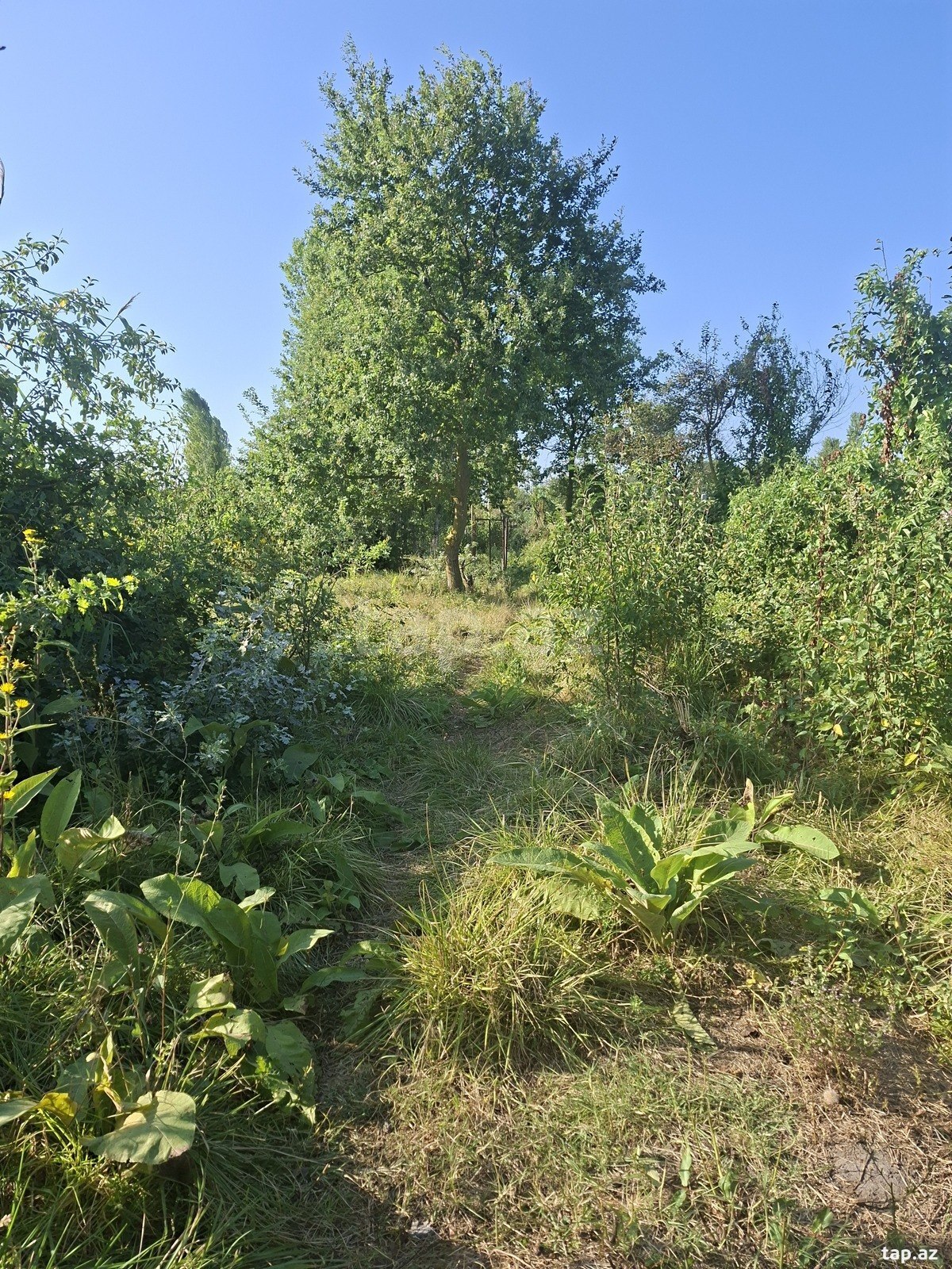 Həyət evi, Xaçmaz r.