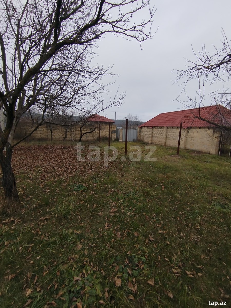 Həyət evi, Alpan k.