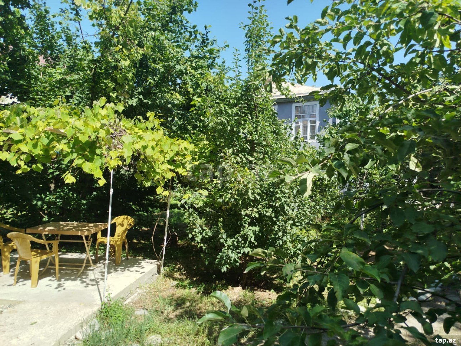 Həyət evi kirayə verilir, Qusar r.