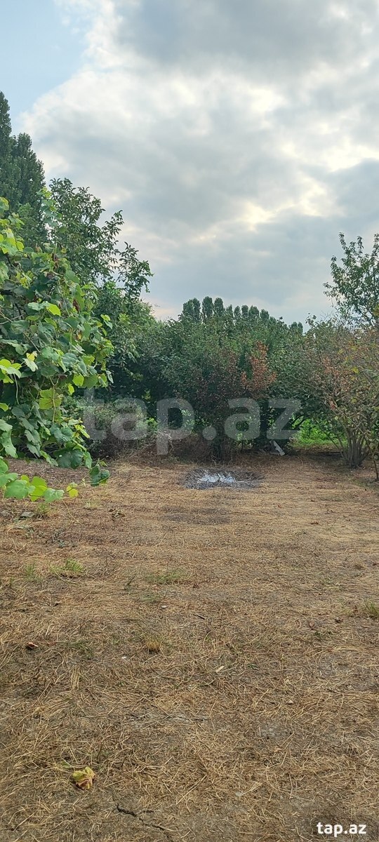 Bağ evi kirayə verilir, Xaçmaz ş.