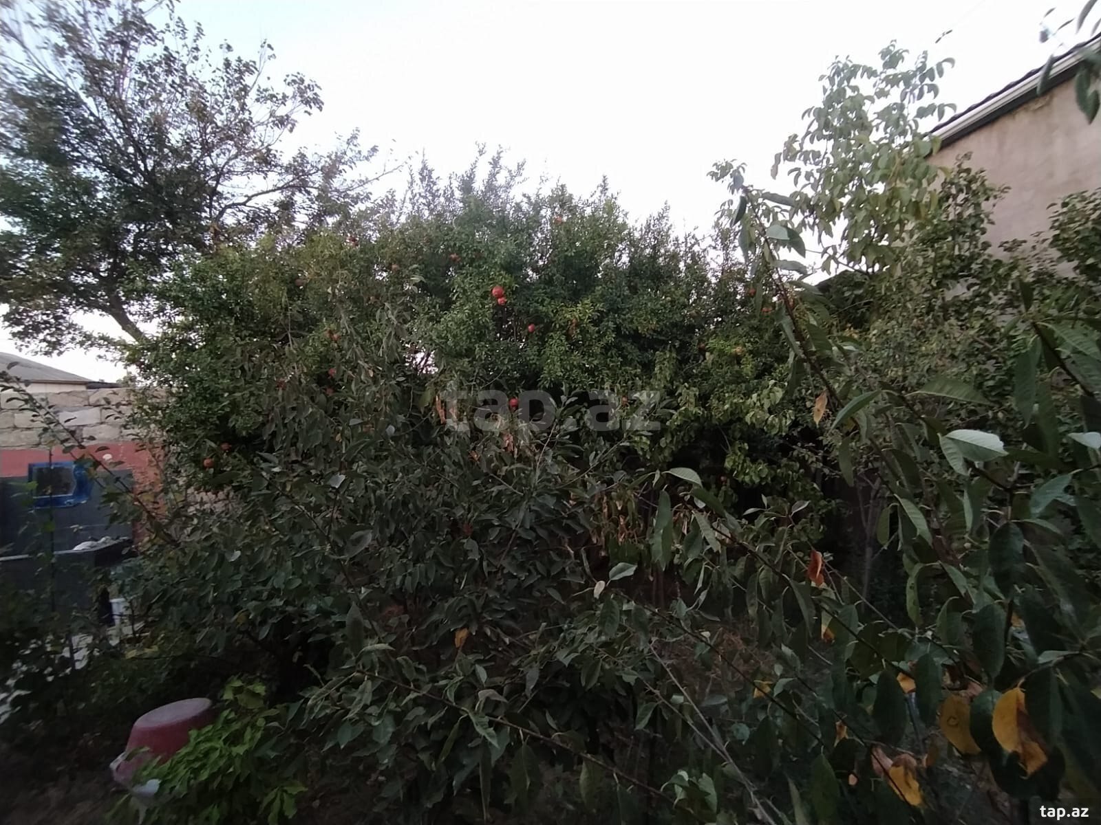 Həyət evi, Xırdalan ş