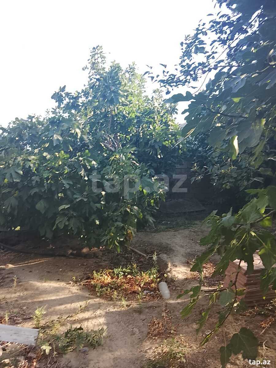 4-комн. частный дом на продажу, Маштага, Баку