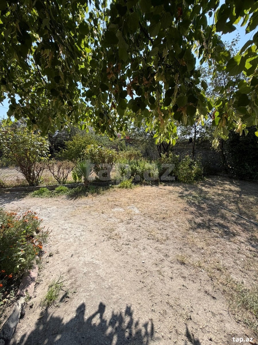 Həyət evi, Şəki ş.