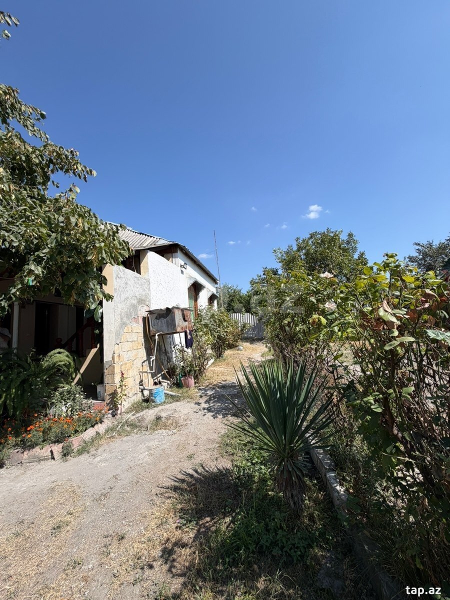 Həyət evi, Şəki ş.