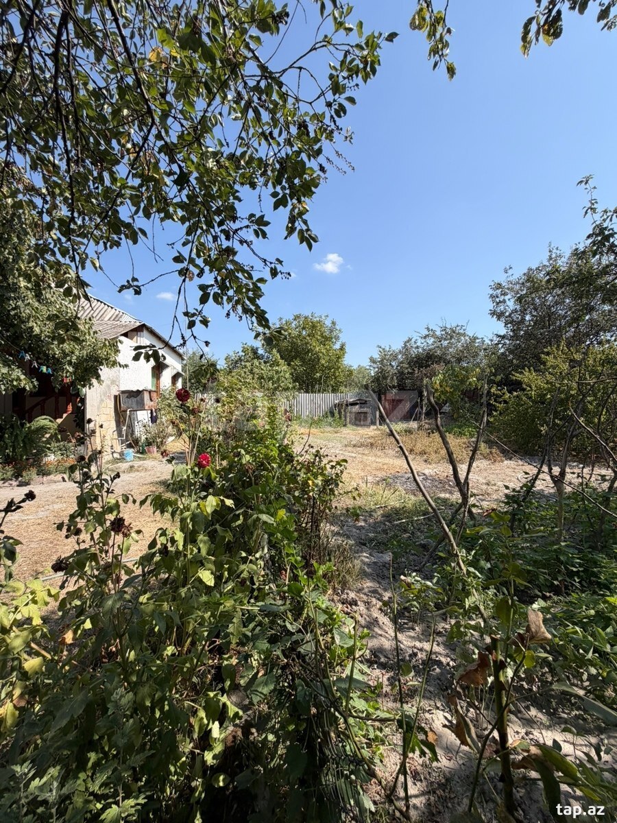 Həyət evi, Şəki ş.