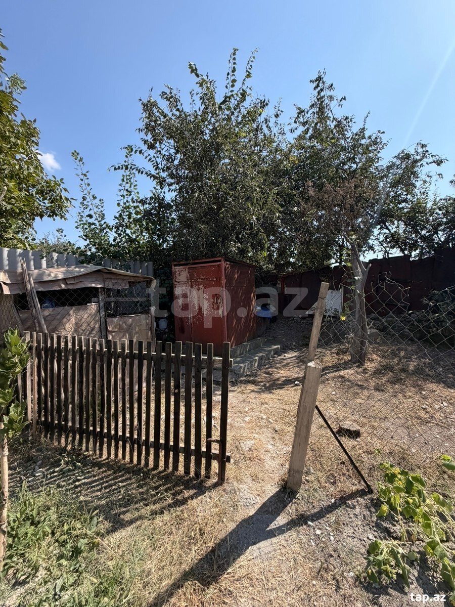 Həyət evi, Şəki ş.