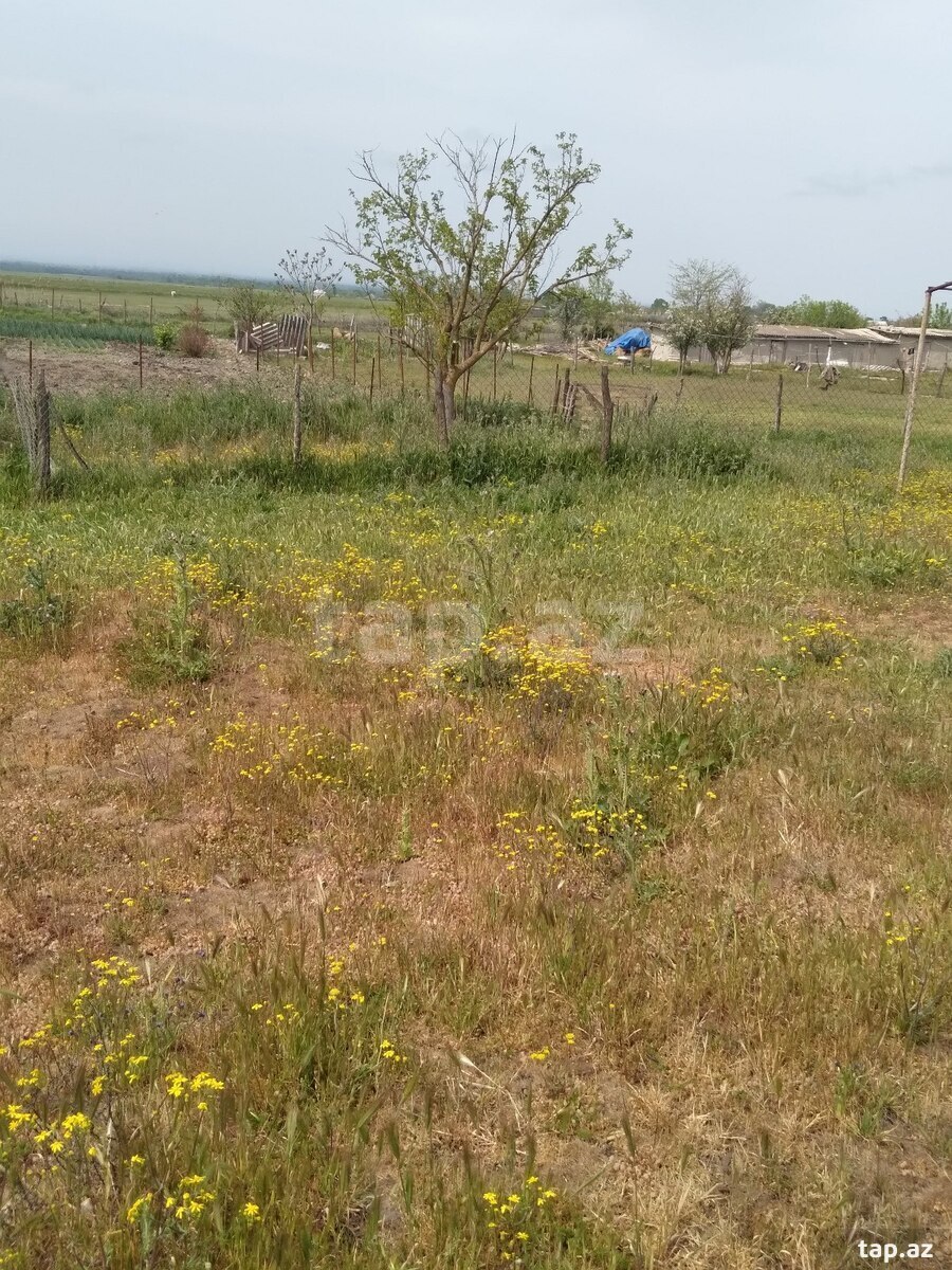Həyət evi, Xaçmaz r.