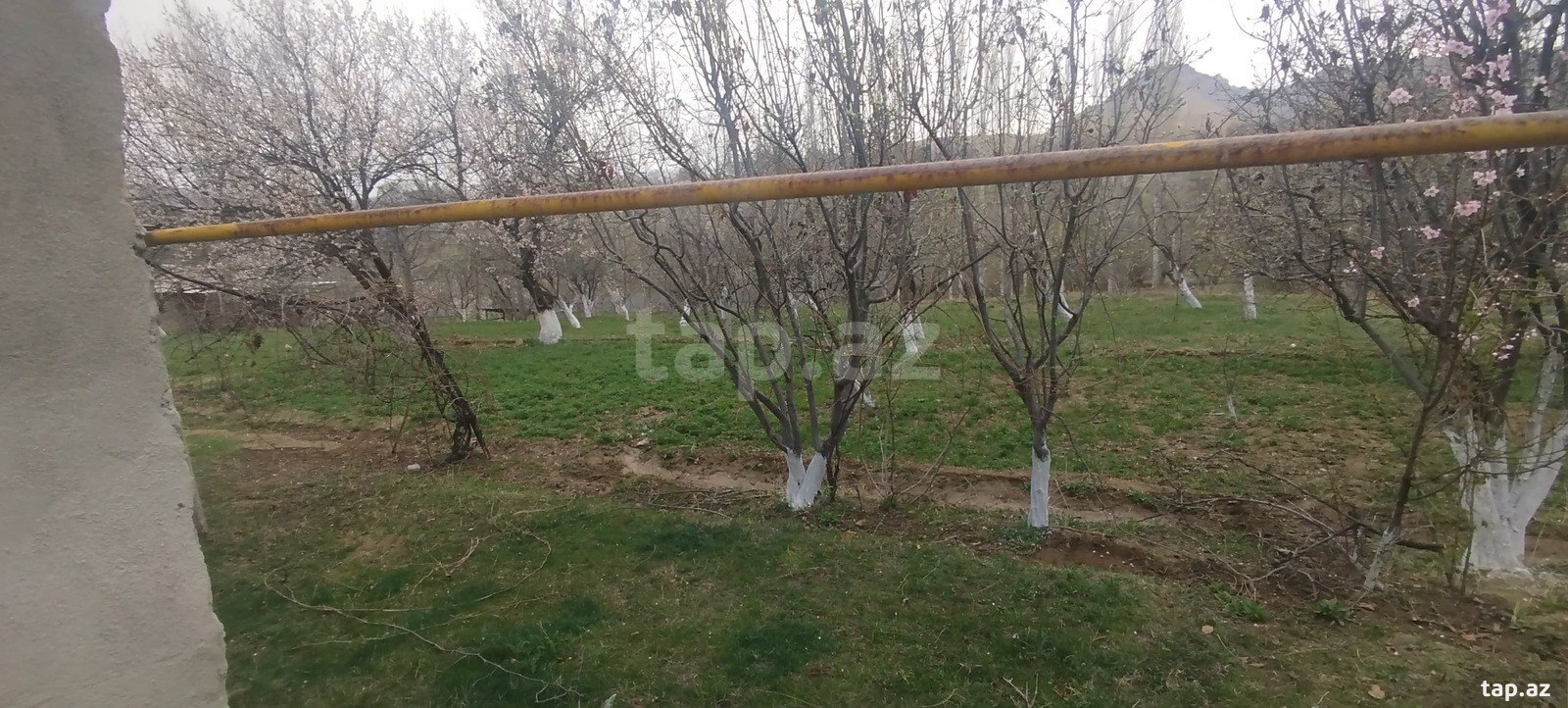 Bağ evi, Naxçıvan ş.