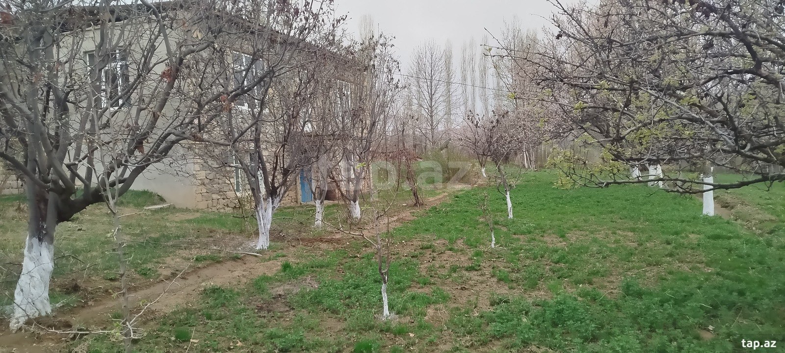 Bağ evi, Naxçıvan ş.