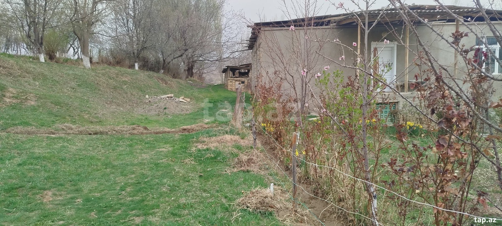 Bağ evi, Naxçıvan ş.