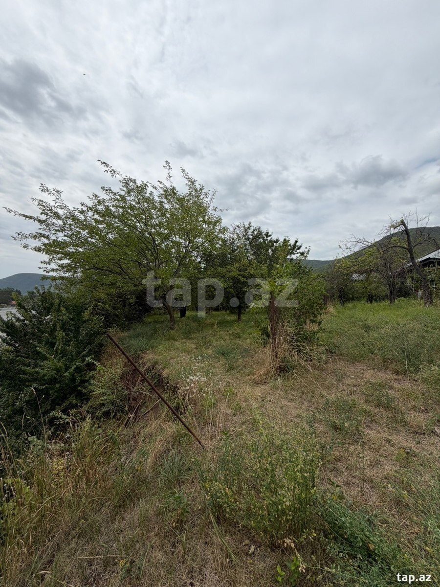 Həyət evi, Şəki ş.