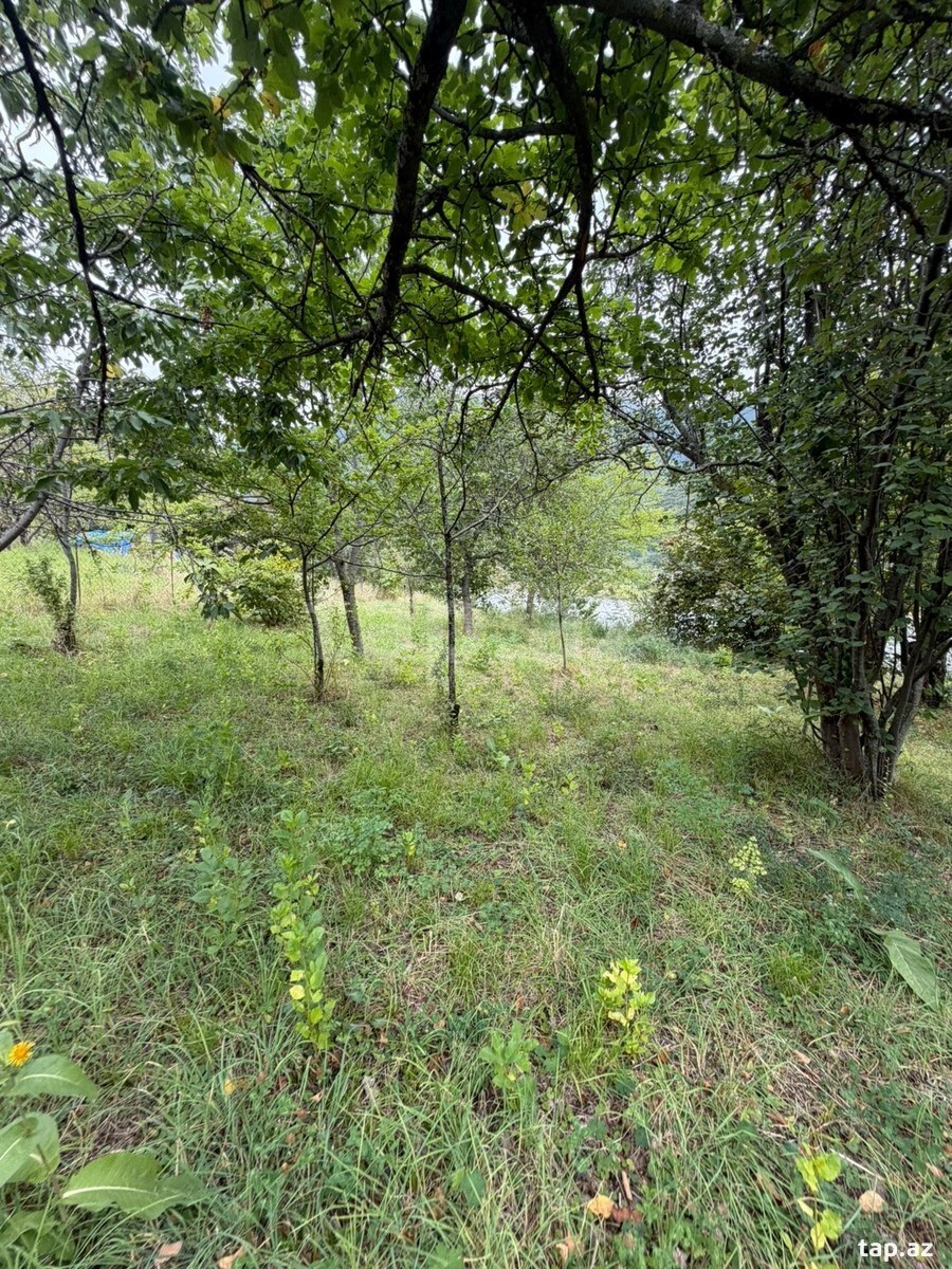 Həyət evi, Şəki ş.
