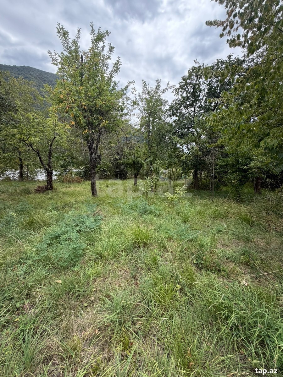 Həyət evi, Şəki ş.