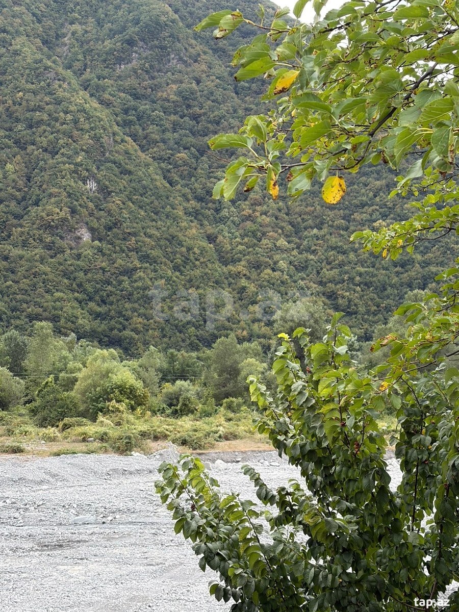 Həyət evi, Şəki ş.
