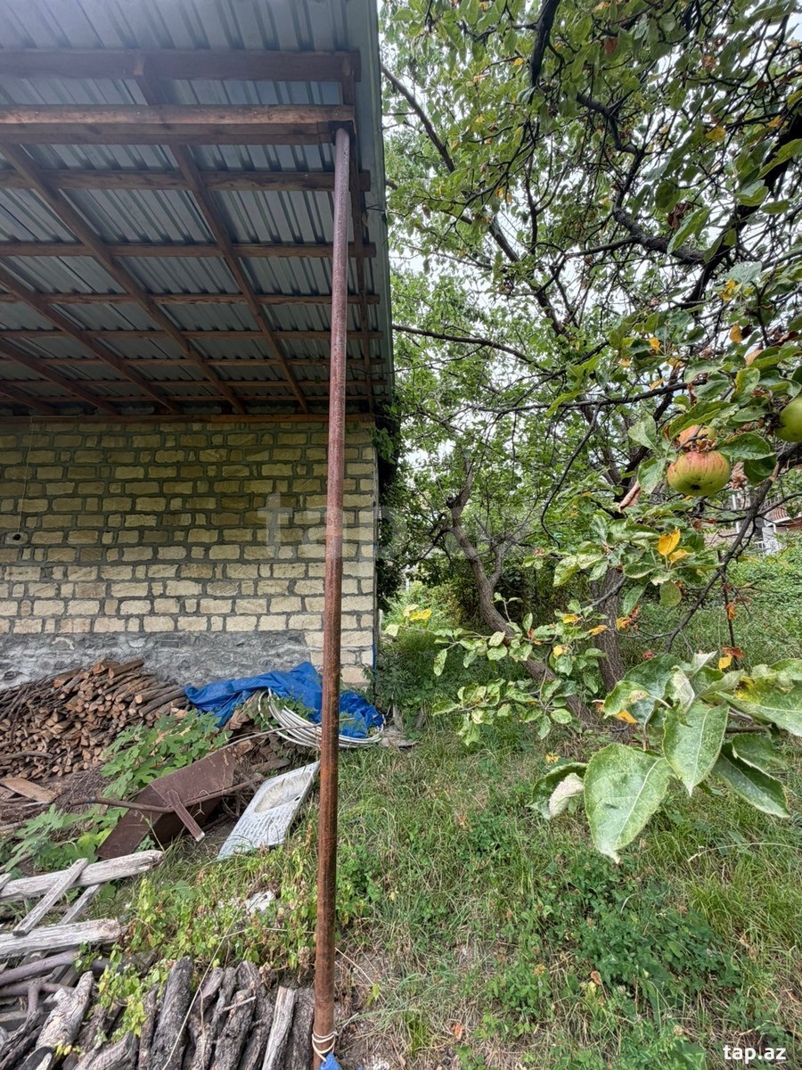 Həyət evi, Şəki ş.
