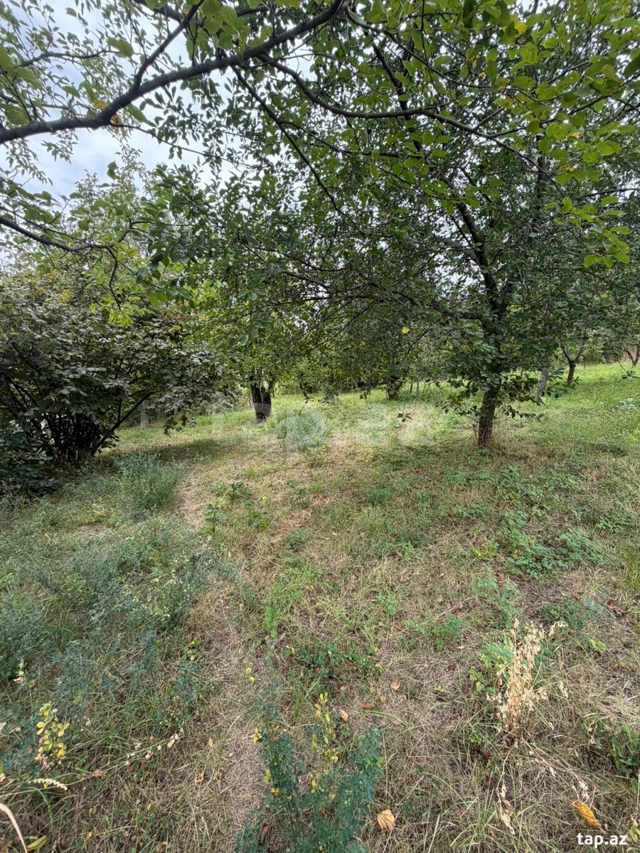 Həyət evi, Şəki ş.