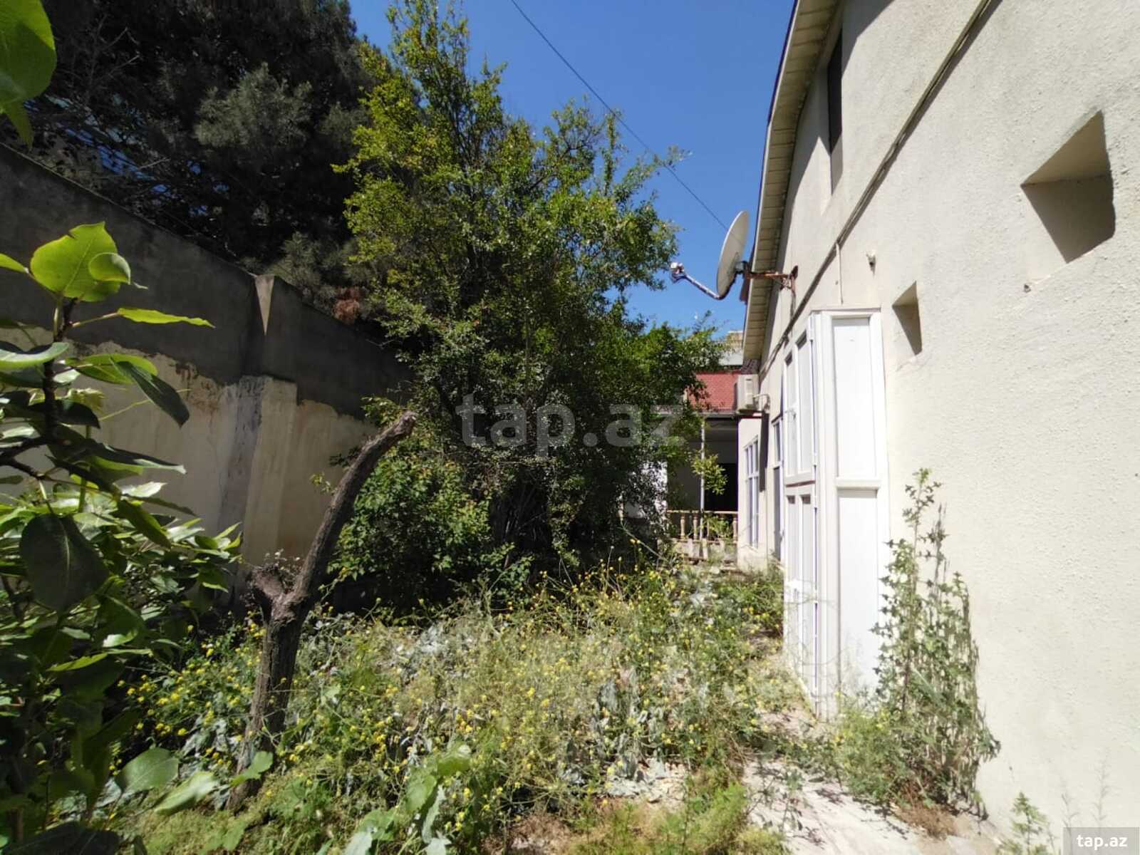 4 sot torpaq sahəsi, H. Cavid pr.
