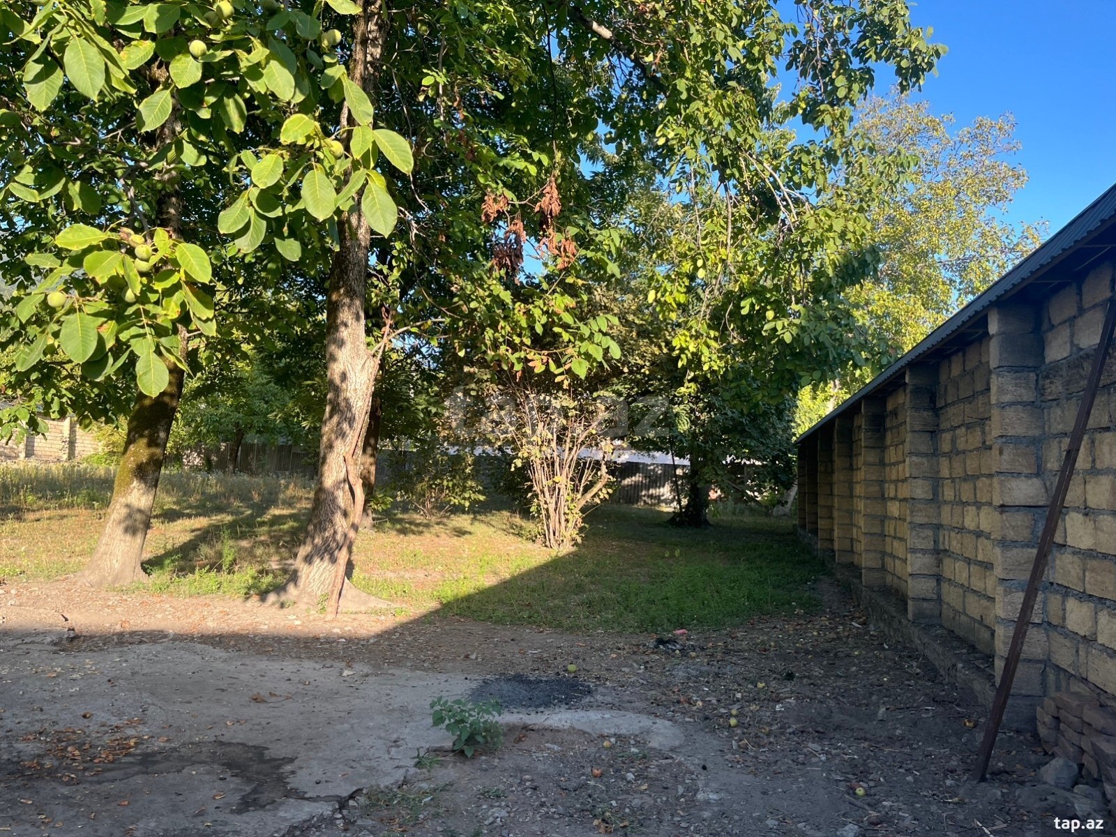 Land for sale, Gabala, Gabala