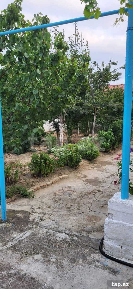 Həyət evi, Siyəzən r.