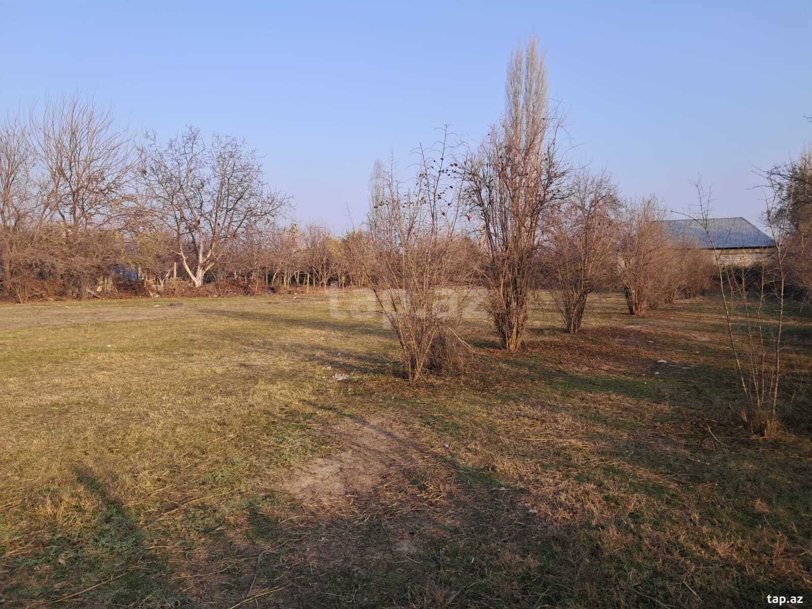 25 sot torpaq sahəsi, Göyçay r.