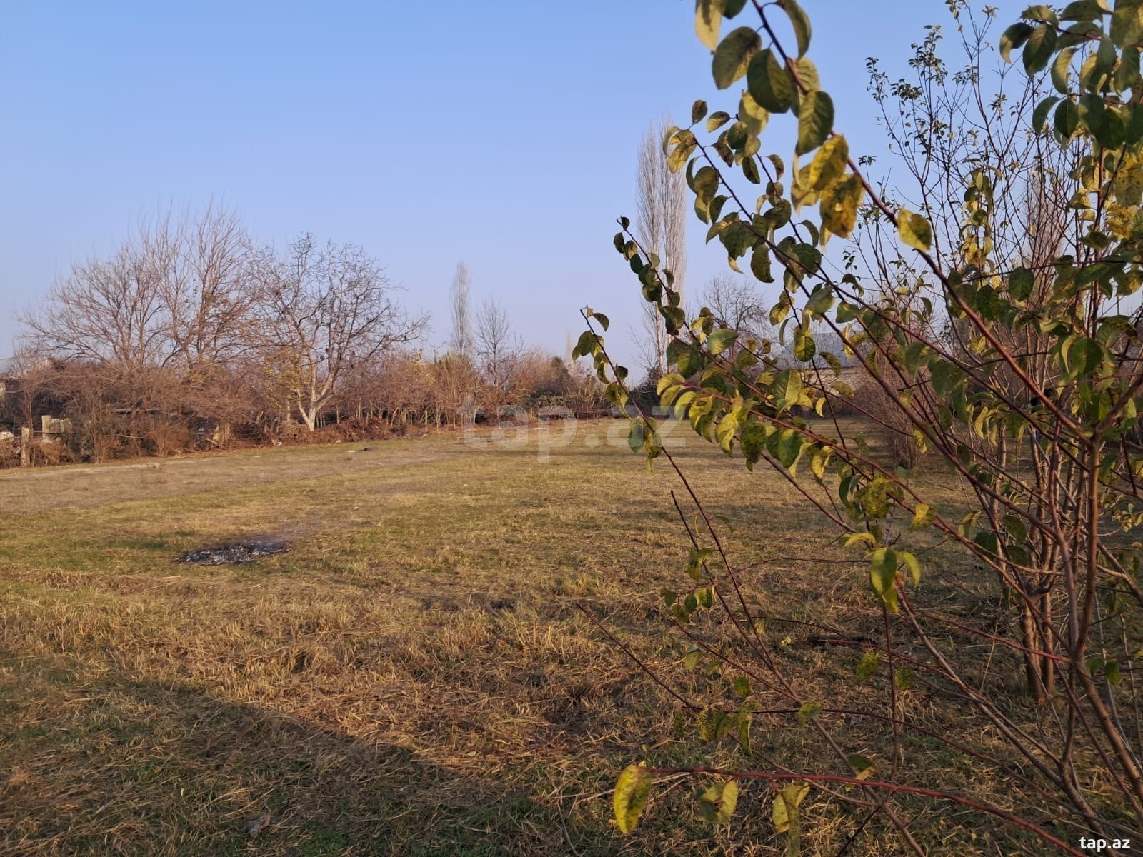 25 sot torpaq sahəsi, Göyçay r.