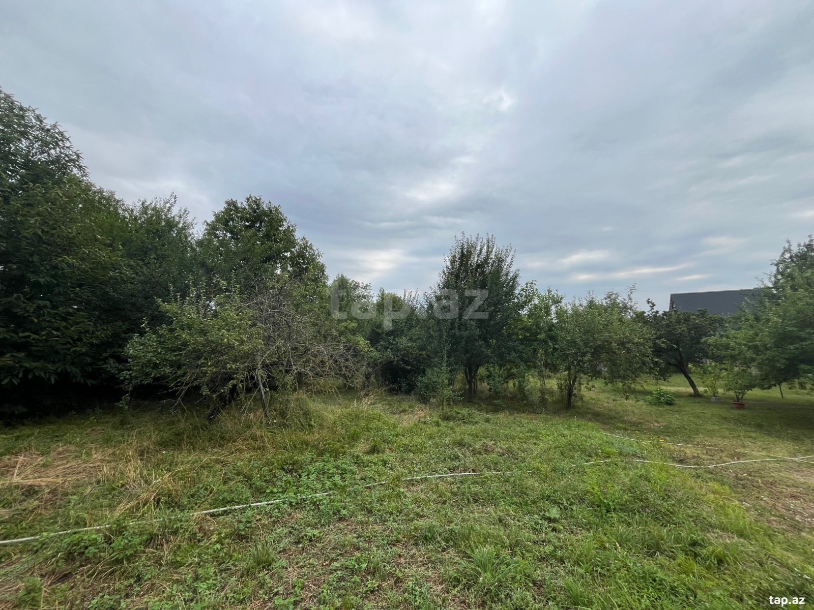 Land for sale, Gabala, Gabala