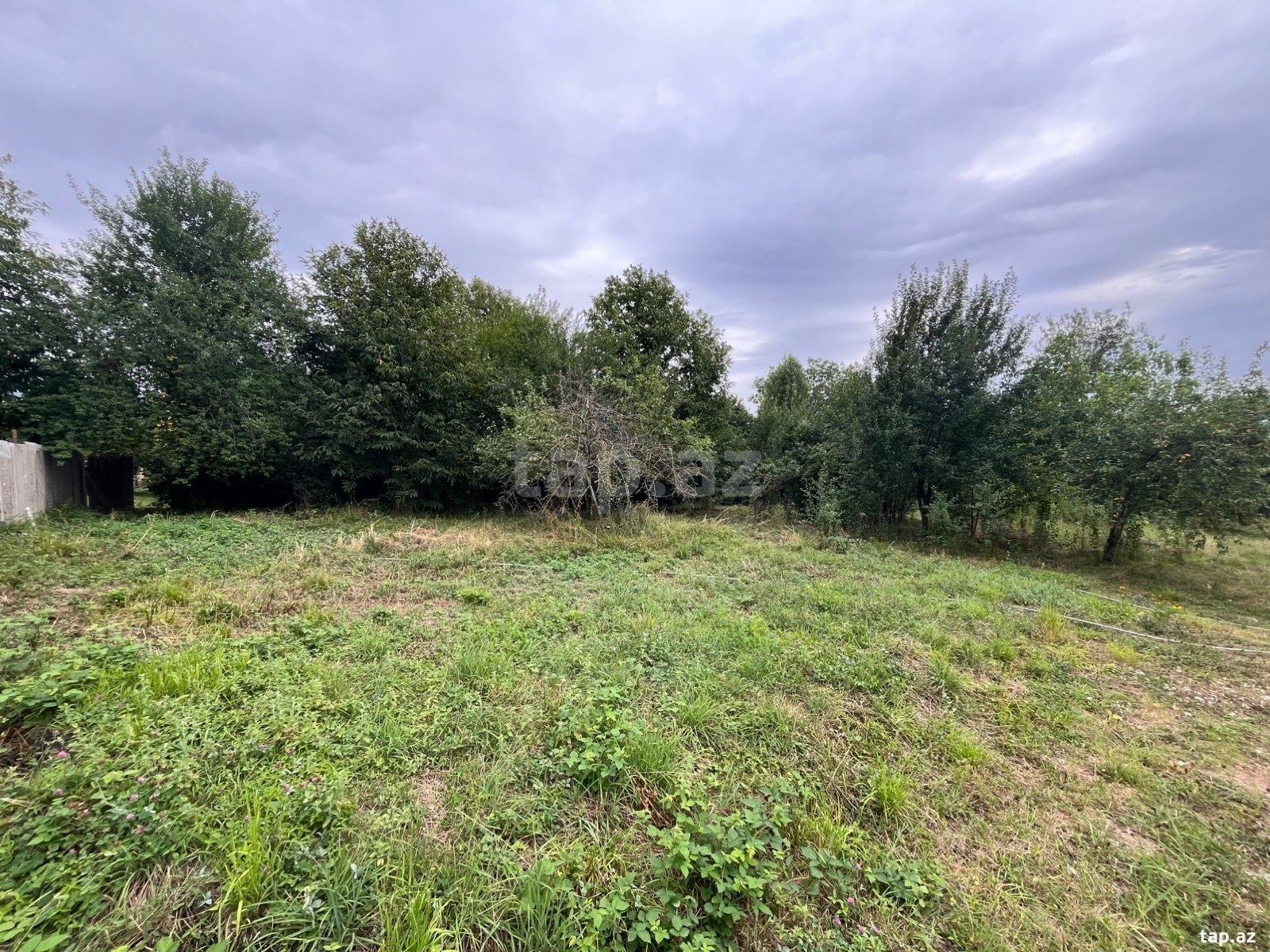 Land for sale, Gabala, Gabala