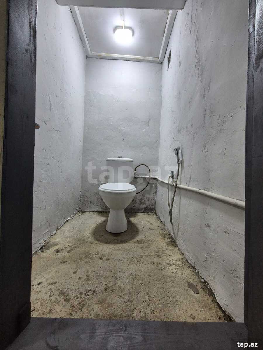 Həyət evi kirayə verilir, 8 Noyabr m.