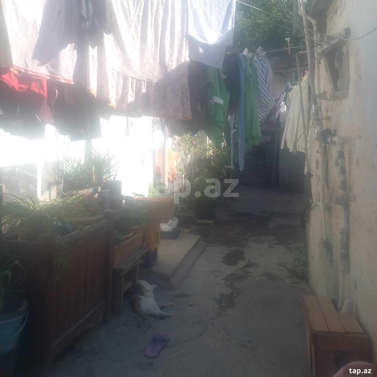 Həyət evi kirayə verilir, Nəsimi r.