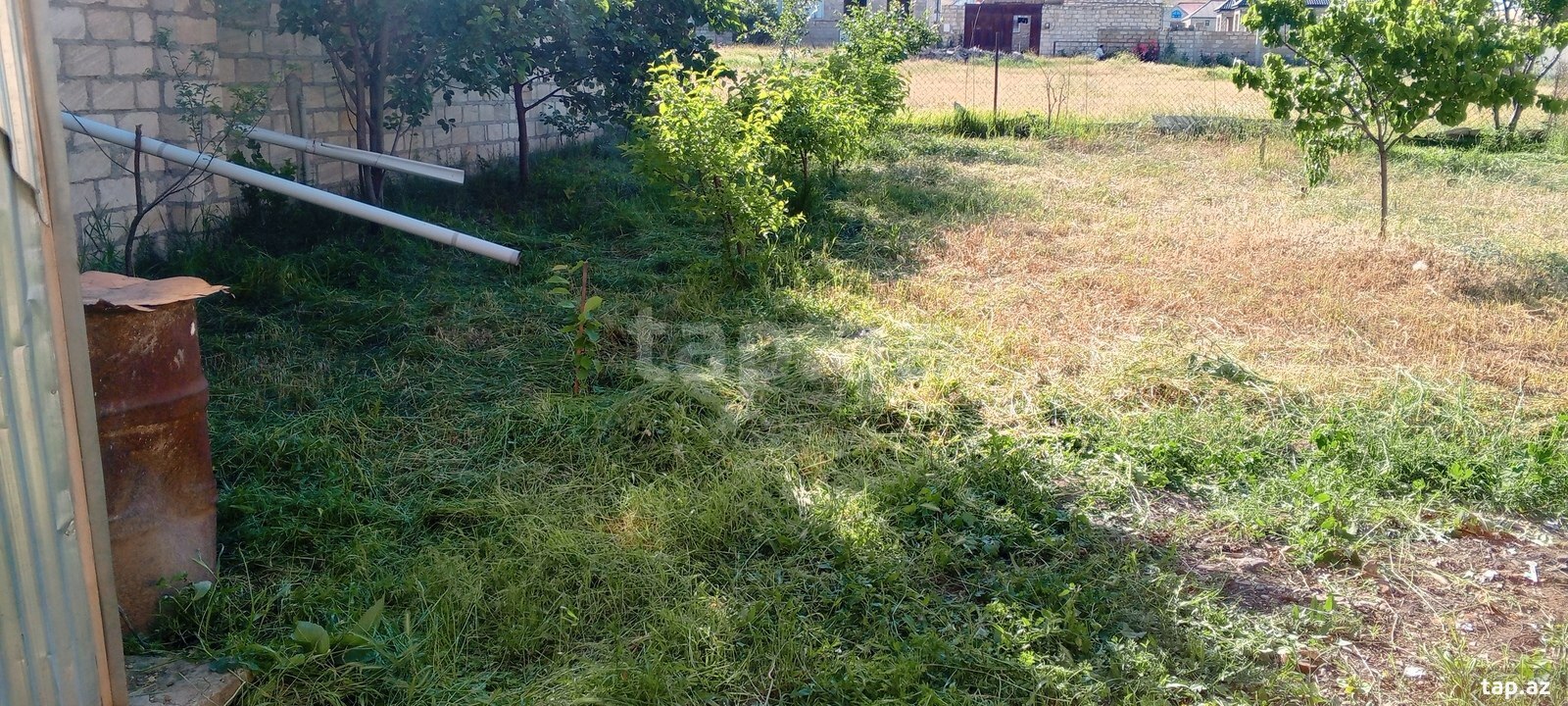 50 sot torpaq sahəsi, Tovuz r.