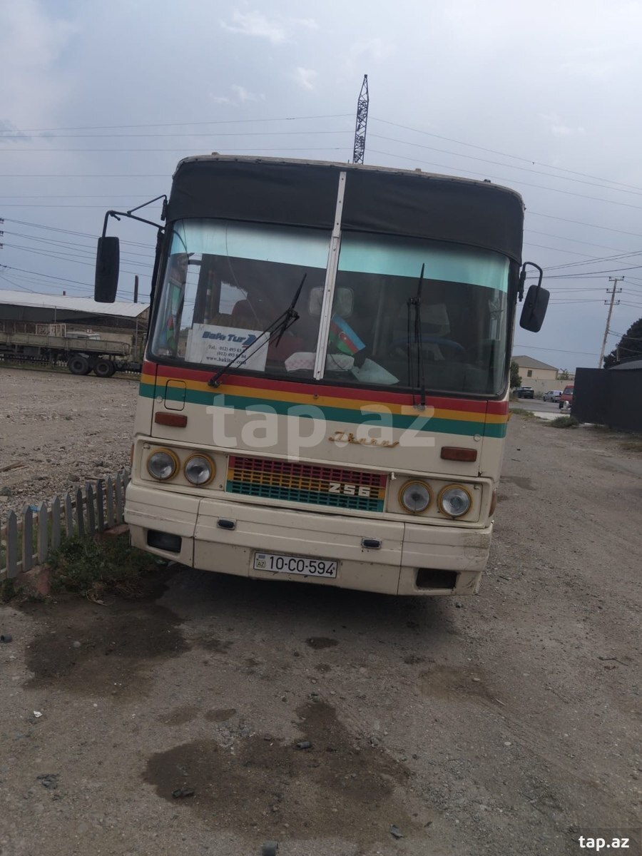 Ikarus, 1982 il