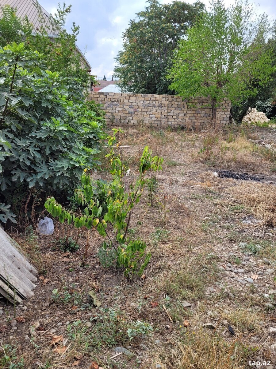 Həyət evi, Gəncə ş.