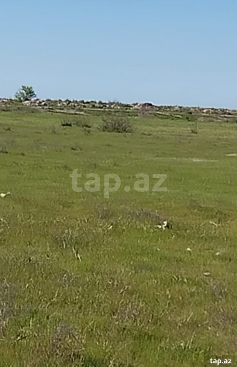 500 sot torpaq sahəsi, Şabran r.
