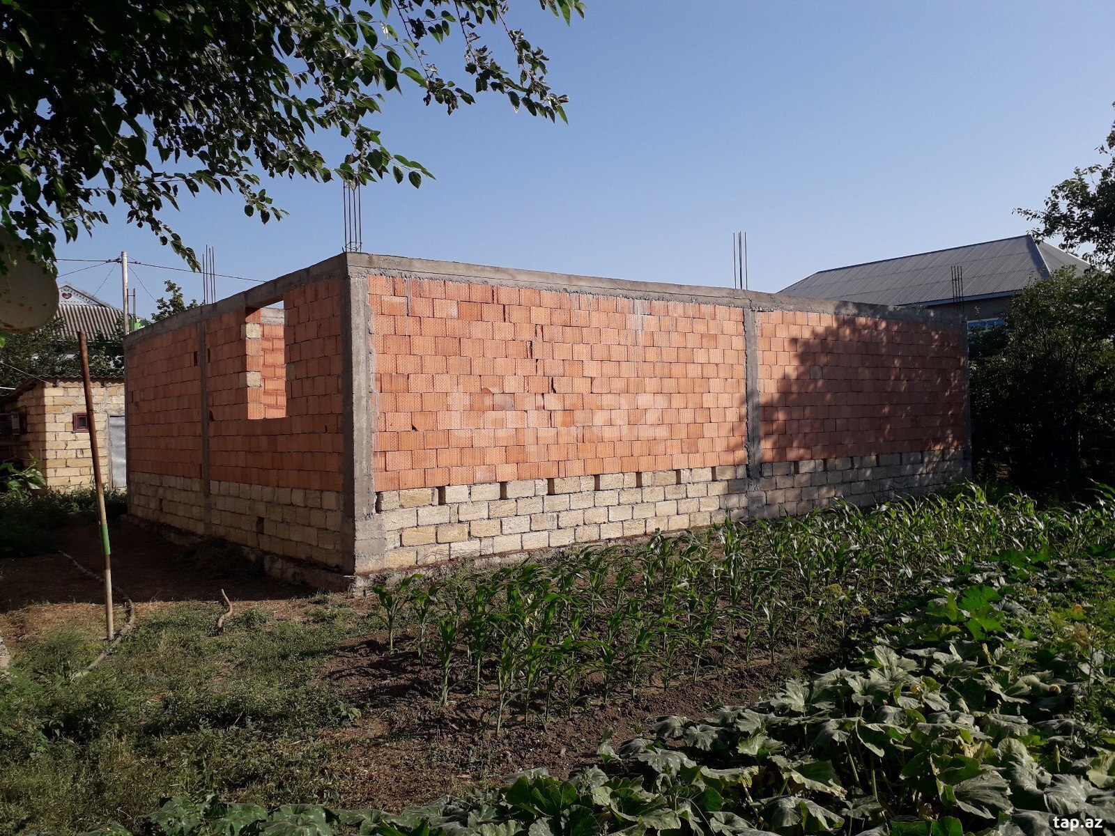 Həyət evi, Cəlilabad r.