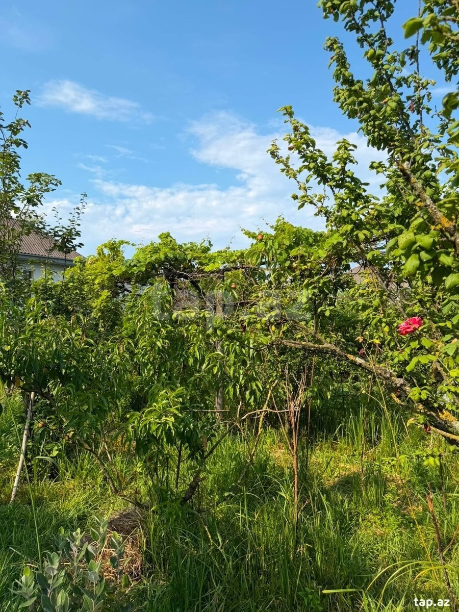 Həyət evi kirayə verilir, Astara r.