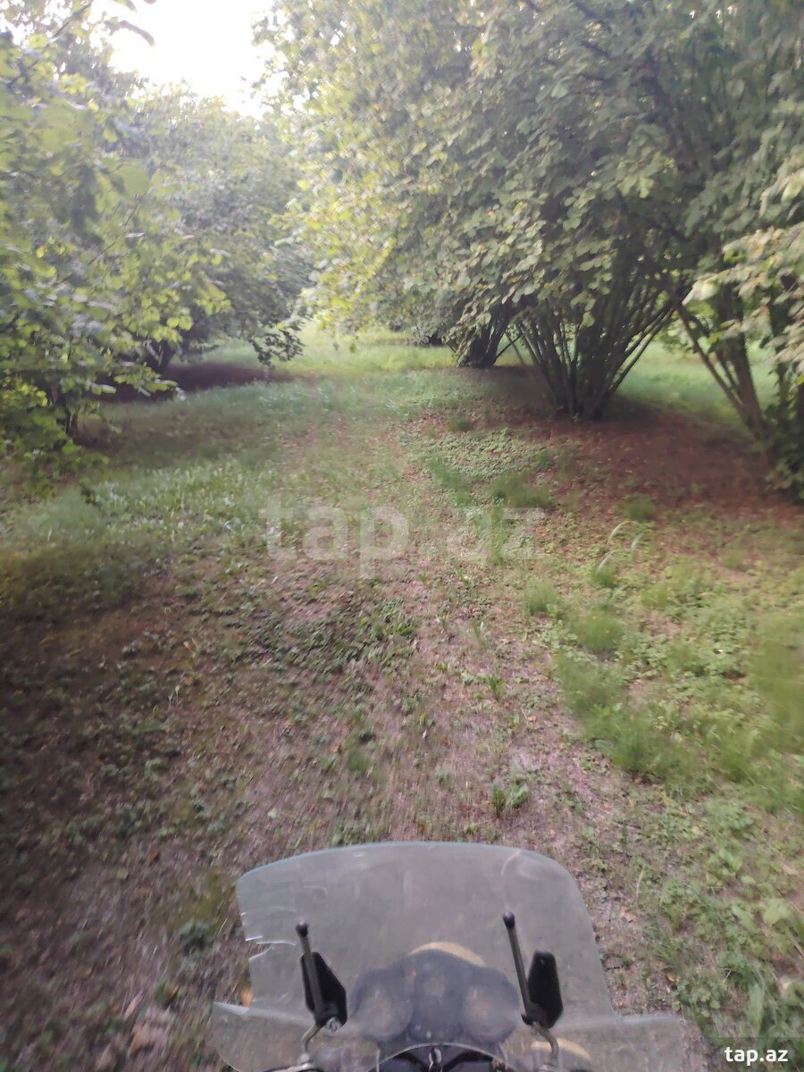 300 sot torpaq sahəsi, Qax r.