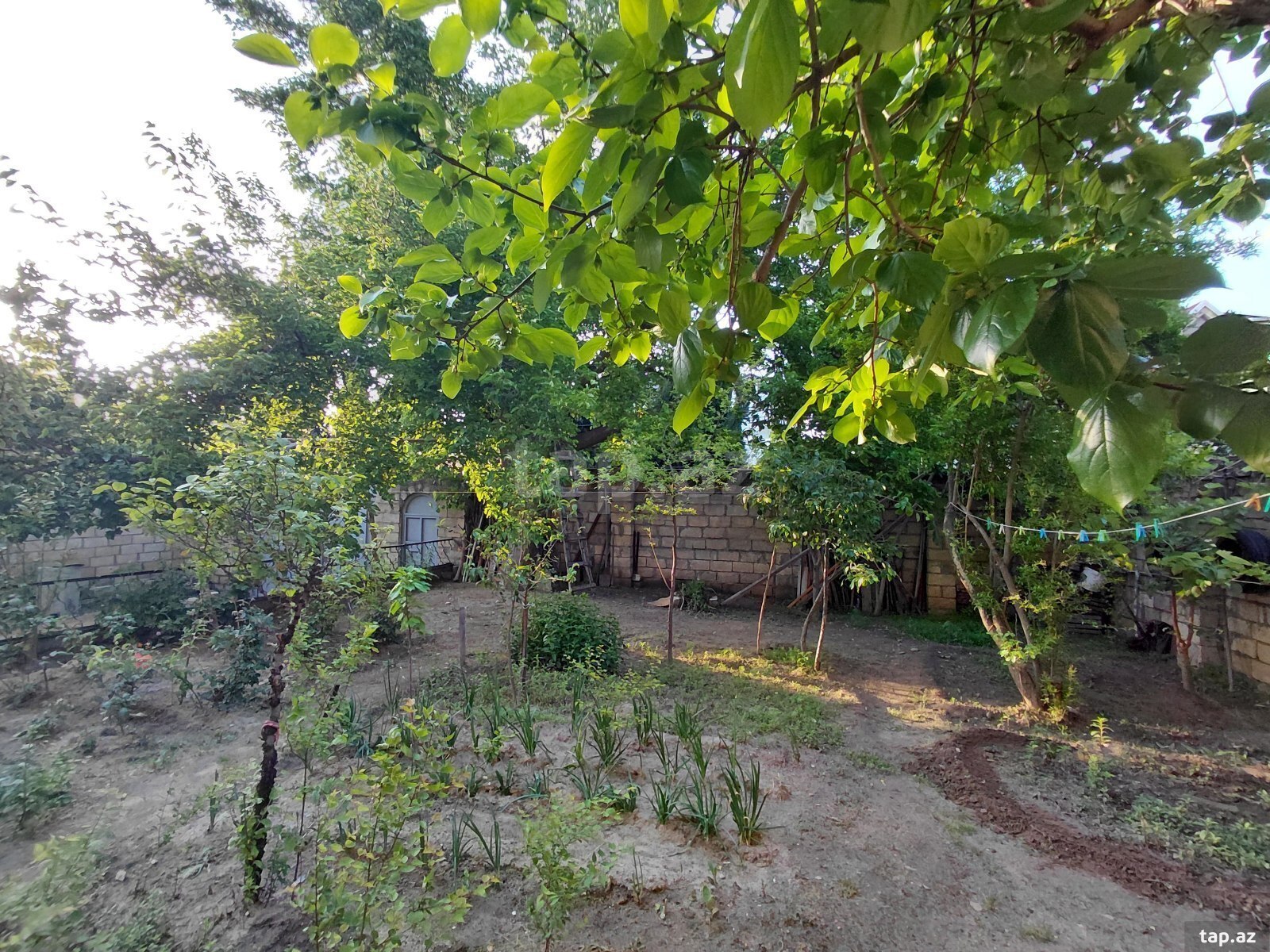 Villa, Qara Qarayev m.