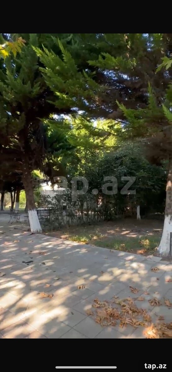 Həyət evi, Nabran qəs.