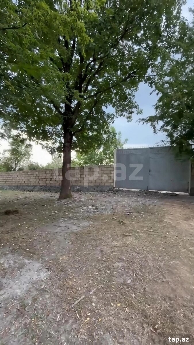 Həyət evi, Şəki r.