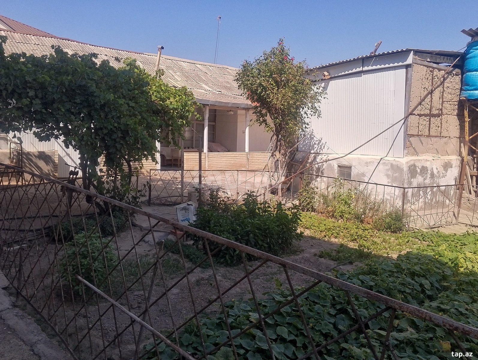 4.55 sot torpaq sahəsi, Naxçıvan ş.