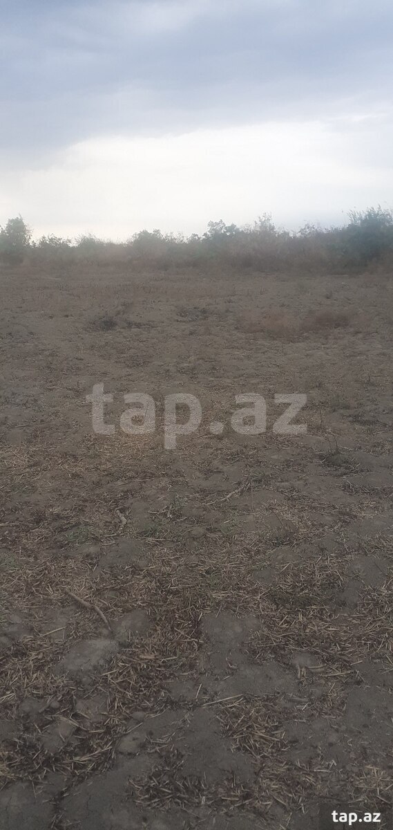 1200 sot torpaq sahəsi, Sabirabad r.